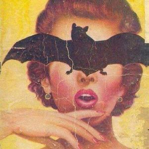 Meet your Posher, Marcy